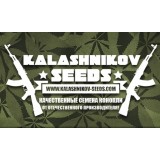 3 UND FEM - KALASHNIKOV ORIGINAL 