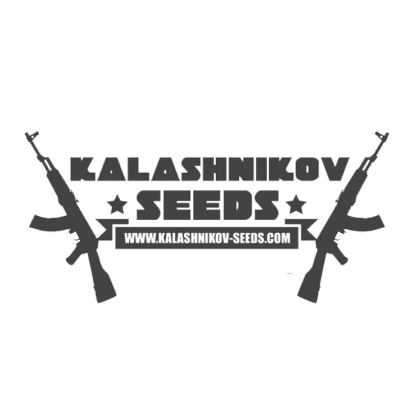5 UND FEM - KALASHNIKOV EXPRESS 