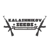 5 UND FEM - KALASHNIKOV ORIGINAL 