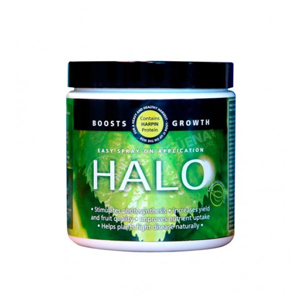 Halo- Harpin 100 Gr 