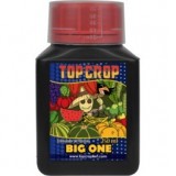 Big One 250 ml Top Crop