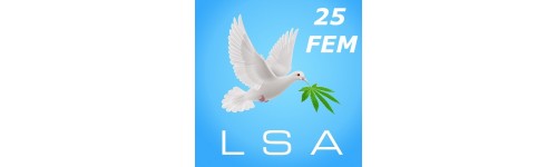 LSA 25 FEM
