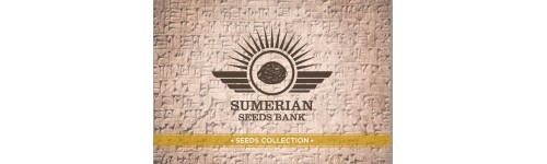 SUMERIAN SEEDS BANK