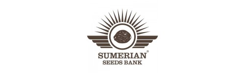 SUMERIAN SEEDS BANK 2 FEM