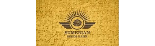 SUMERIAN SEEDS BANK 4 FEM