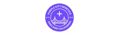 PURPLE CITY GENETICS