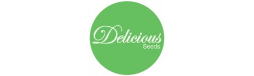 DELICIOUS SEEDS 15 REGULARES