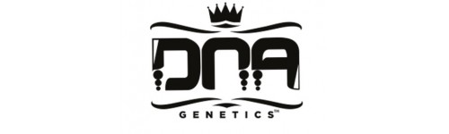 DNA GENETICS 13 REGULARES