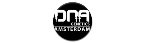DNA GENETICS 6 REGULARES