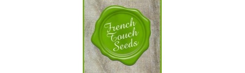 FRENCH TOUCH SEEDS 6 REGULARES