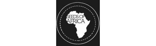 SEEDS OF AFRICA