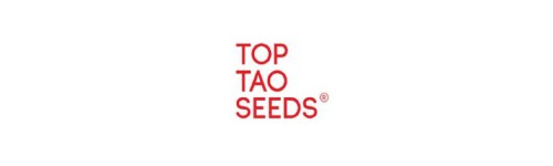 TOP TAO SEEDS 6 REGULARES