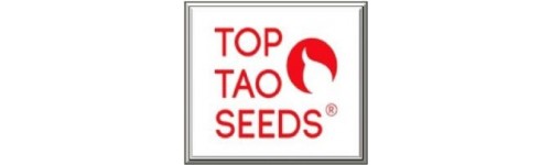 TOP TAO SEEDS 15 REGULARES